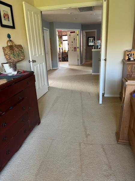Rick's Family Carpet Care