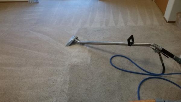 Rick's Family Carpet Care