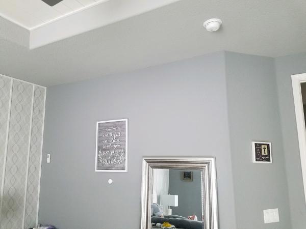 All Access Painting