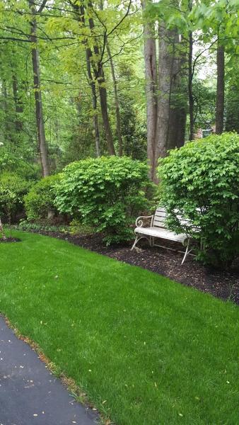 Dodson Tree Care & Landscaping LLC