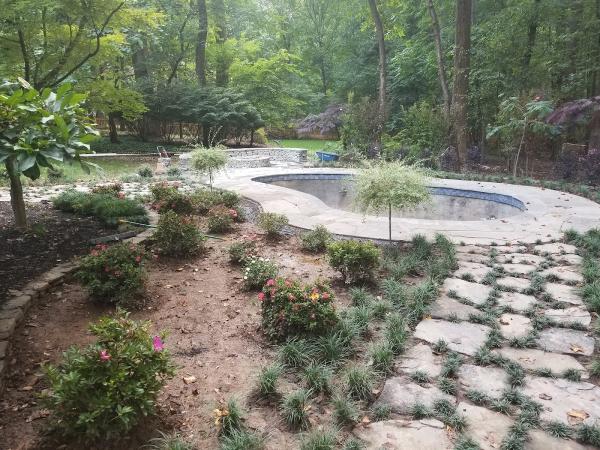 Dodson Tree Care & Landscaping LLC