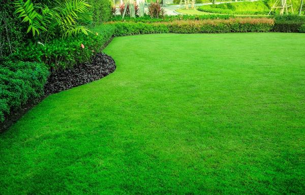 Accu Lawn