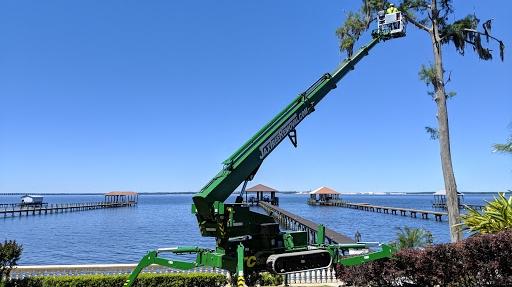 Jax Tree Removal
