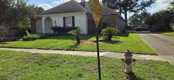 Superior Tree Services LLC