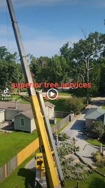 Superior Tree Services LLC