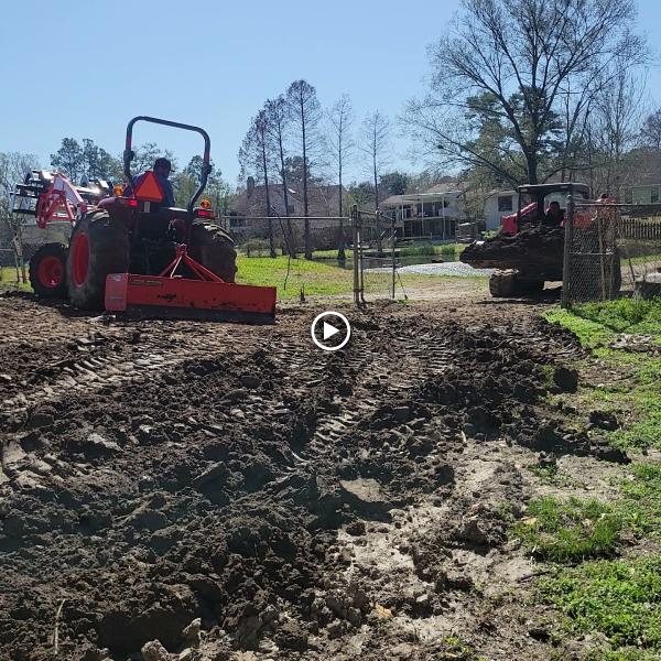 Superior Tree Services LLC