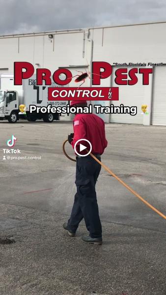 Pro Pest Control