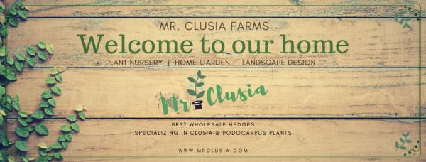 Mr. Clusia