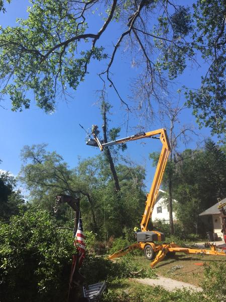 Michael Wagner Tree Service