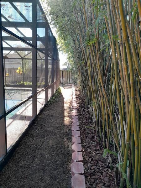 Michael Wagner Tree Service