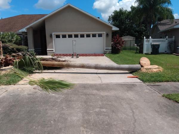 Michael Wagner Tree Service
