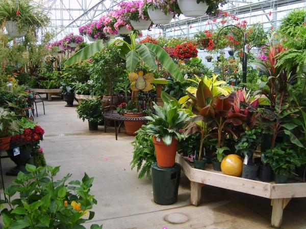 Hoerr Nursery
