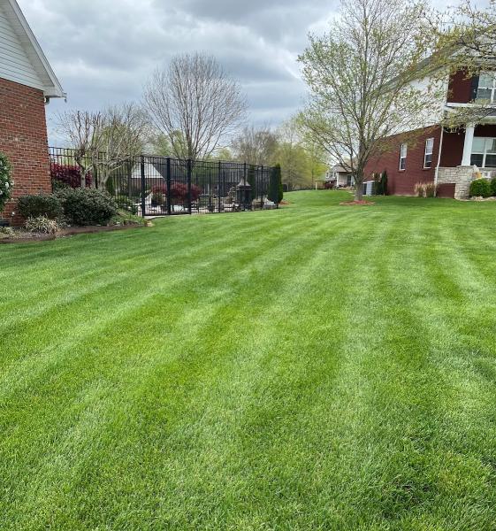 Stellar Lawn Care LLC