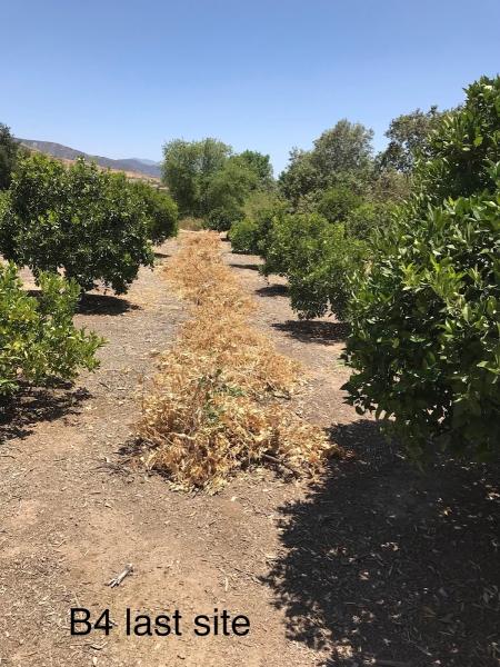 Down to Earth Land Clearing Solutions