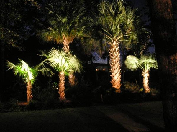 Myrtle Beach Landscape Lighting