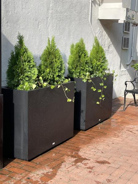 NP Landscaping