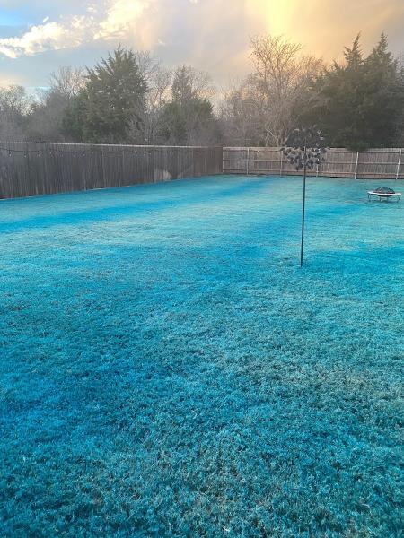 Vista Turf