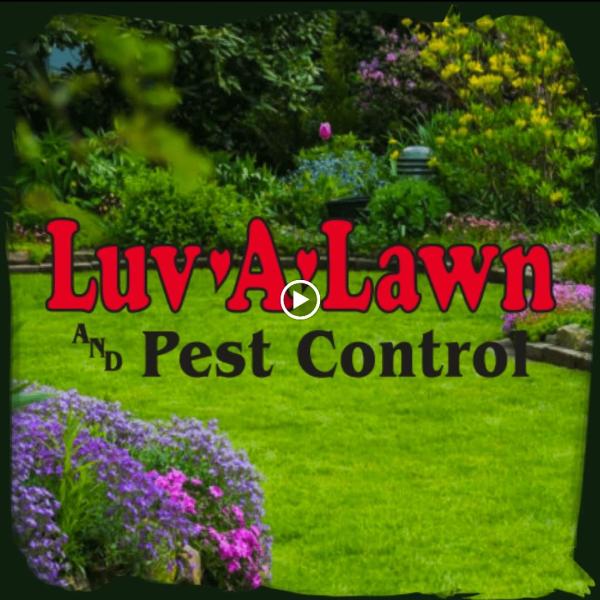 Luv-a-Lawn and Pest Control