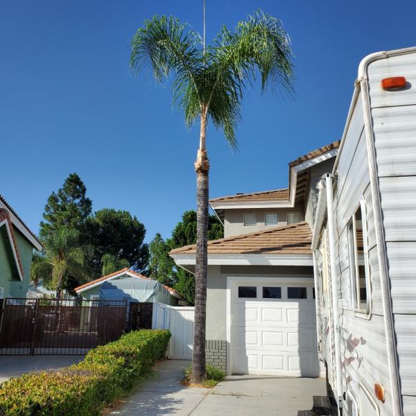 Fuentes Landscaping