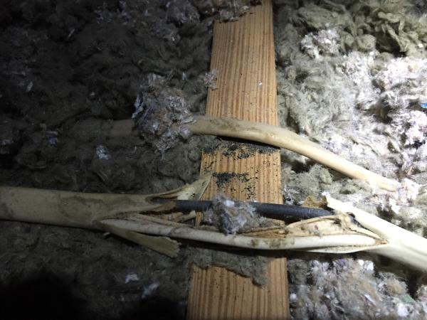 Inspecta Home Inspections
