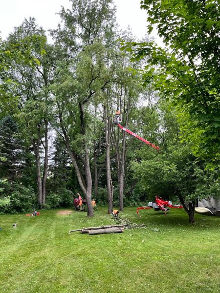 A Better Way Tree Care