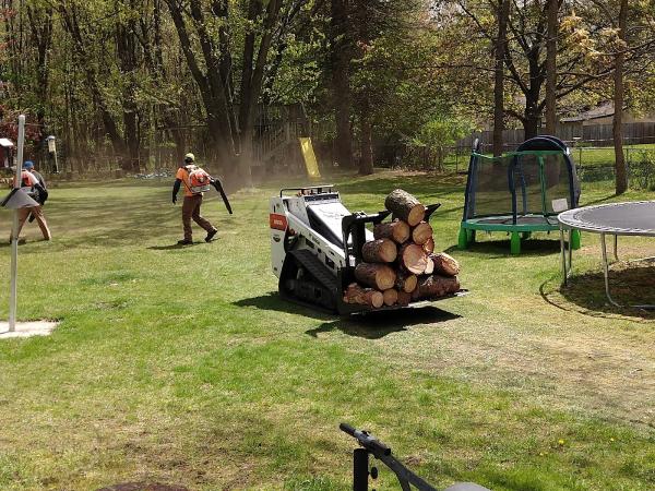 A Better Way Tree Care