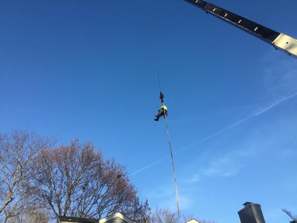 Lyle Blum Tree Service