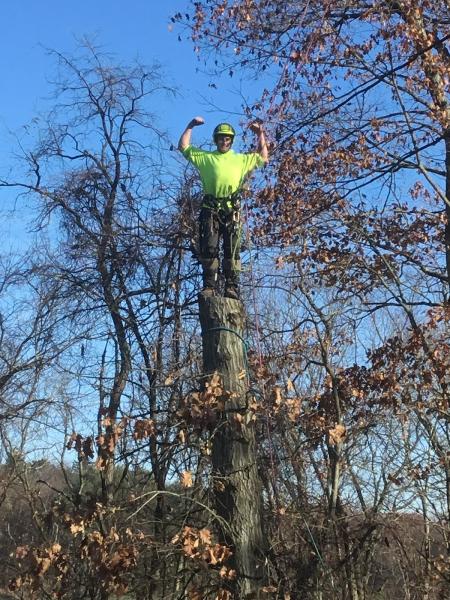 Lyle Blum Tree Service