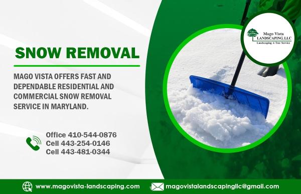 Mago Vista Landscaping