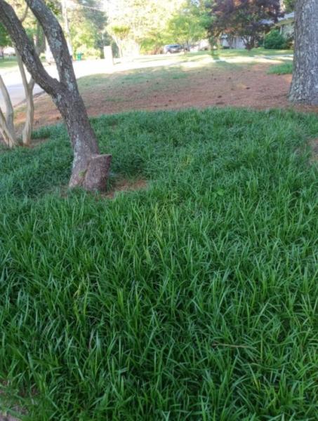 Southern Gardens Landscape Management