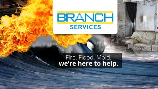 Branch Services