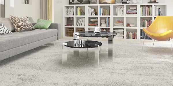Carpet Care LLC