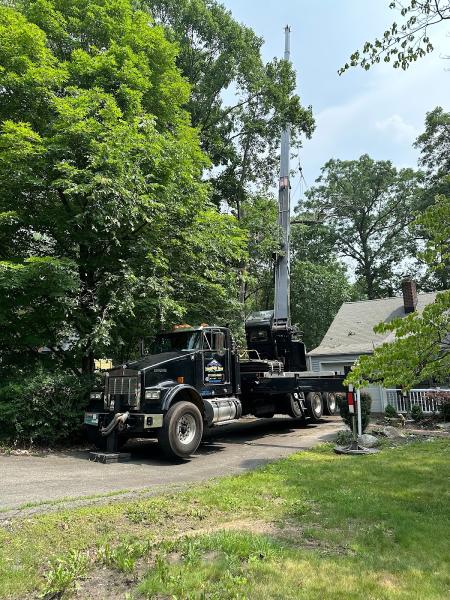 Mountain View Tree Service LLC