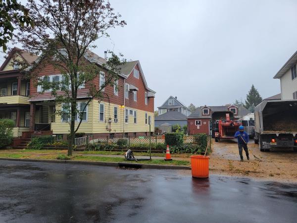 Mountain View Tree Service LLC