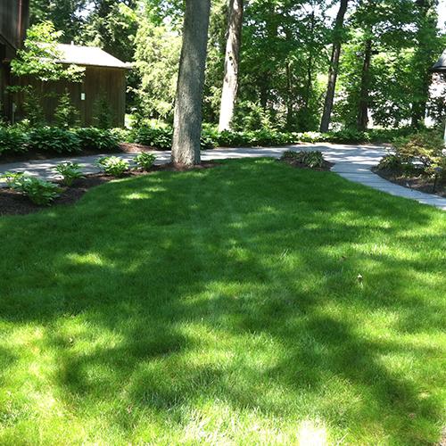 Finocchiaro Lawn & Landscape Inc.