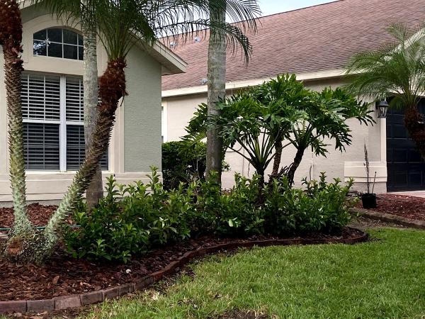 Quality Residential Cleaning Services LLC