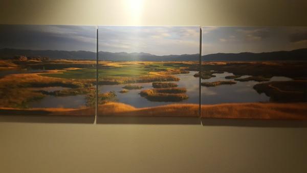 Dmk Golf Design Inc