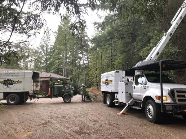Image Tree Service