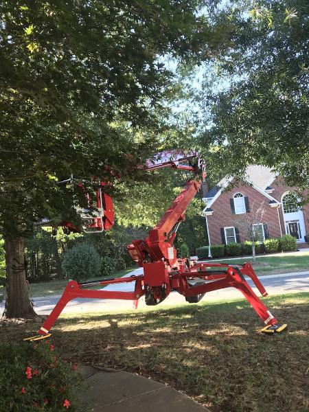 Green Leaf Tree Service