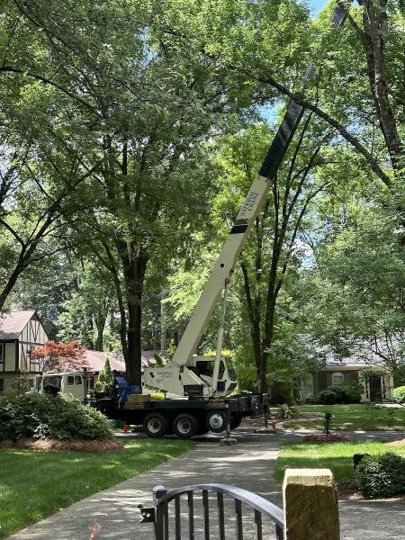 Green Leaf Tree Service