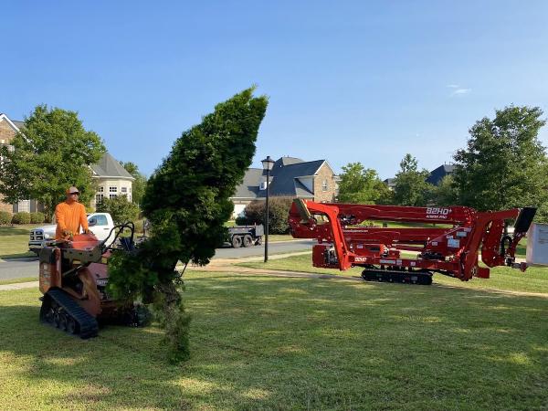 Green Leaf Tree Service