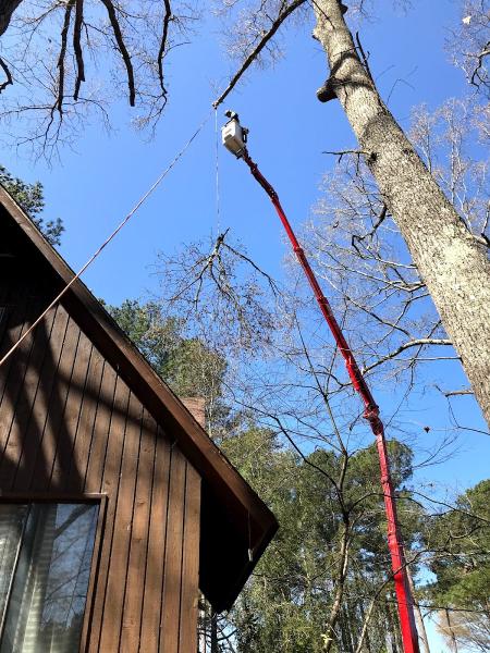 Green Leaf Tree Service