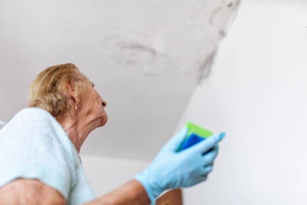 Healthy Home Environmental Services