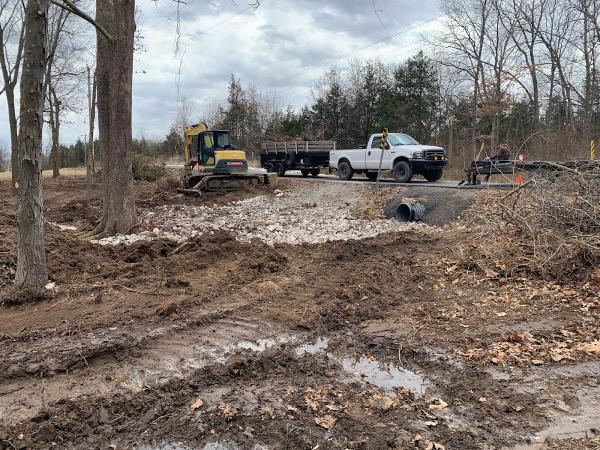 King's Excavation and Land Management