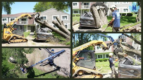 Maplewood Tree Care