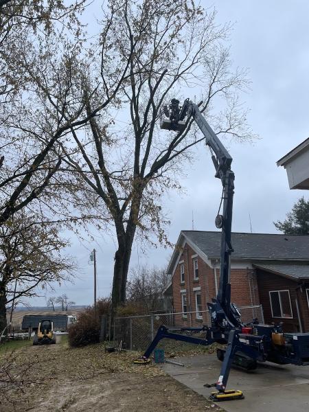 Maplewood Tree Care