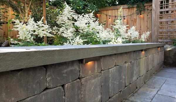 Kismet Design