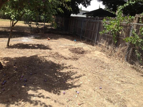 California Landscaping & Design Inc.