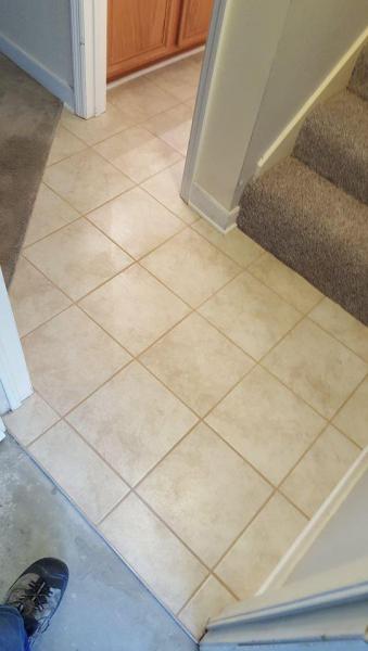 Wayne Whitener Floor Covering