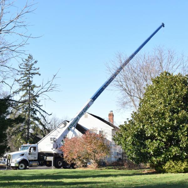 Clauser Tree Care